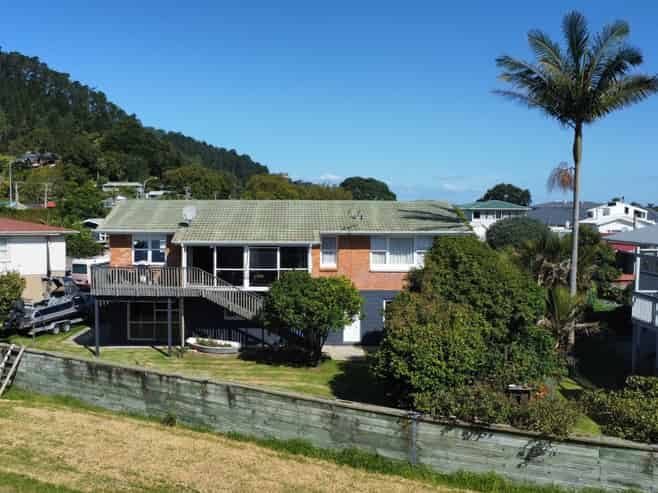 1009 Tararu Road, Coromandel Forest Park