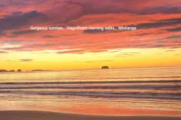 29 Wells Place, Whitianga