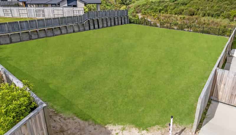 158 Adler Drive, Ohauiti