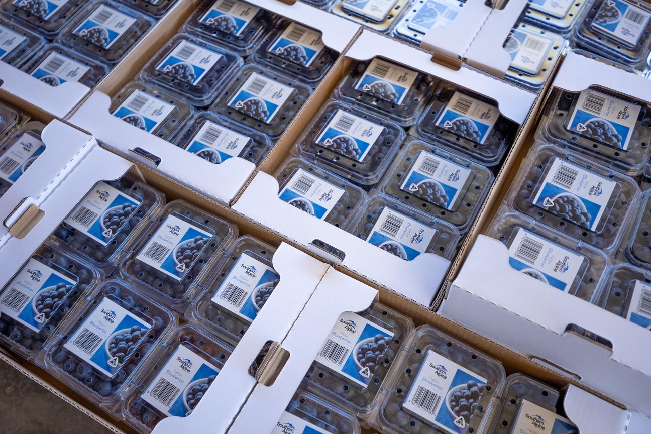 Berry Operation with Scale, Proven Performance & Future Upside - Vista 4