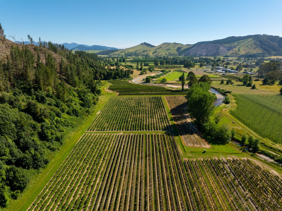 Berry Operation with Scale, Proven Performance & Future Upside - More