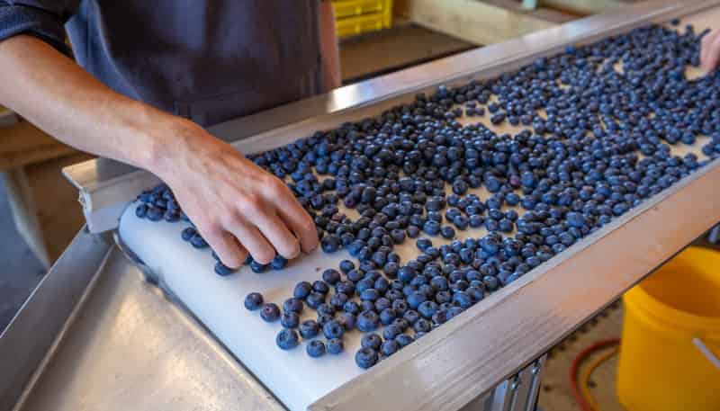 160 Tadmor Valley Road, Tapawera