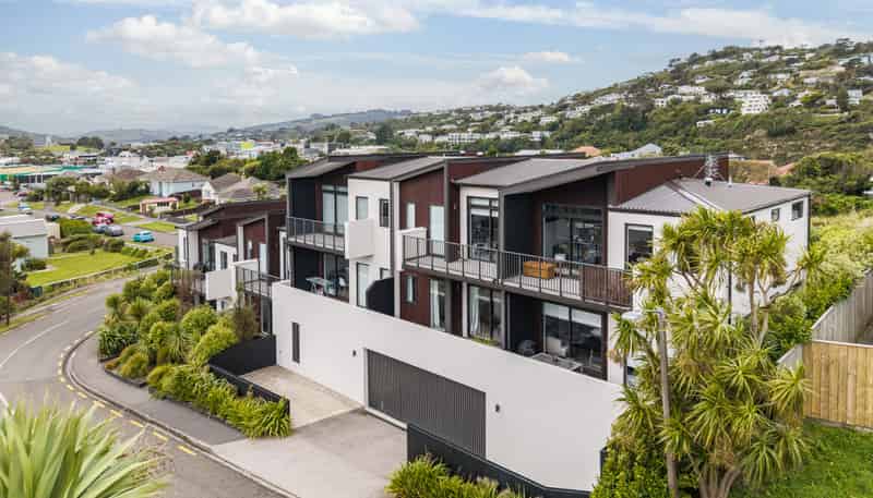 1/2 Hindmarsh Street, Johnsonville