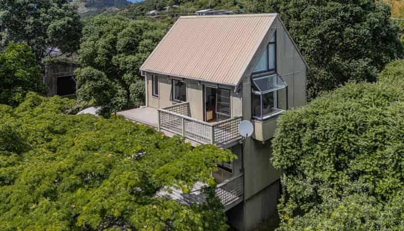 863 Black Jack Road, Opito Bay