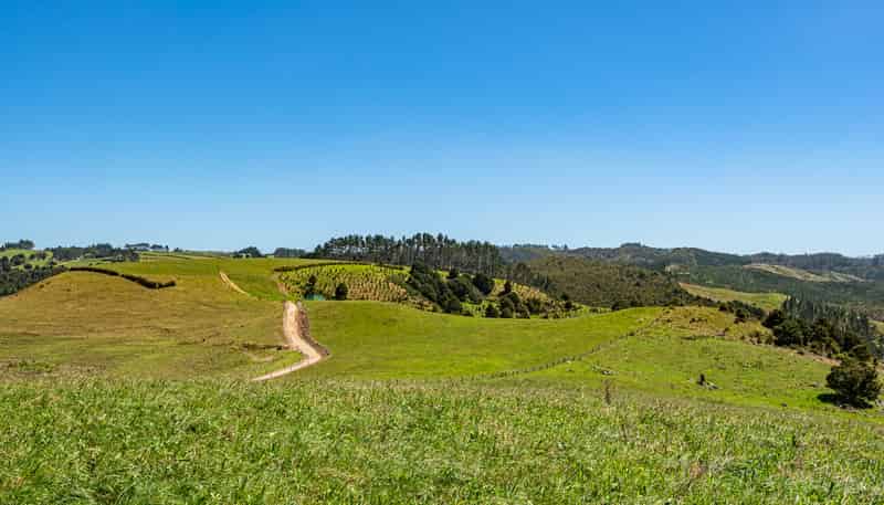 731 Puhipuhi Road, Whakapara