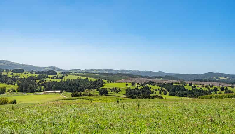 731 Puhipuhi Road, Whakapara
