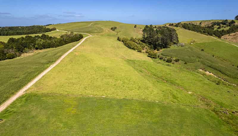 731 Puhipuhi Road, Whakapara