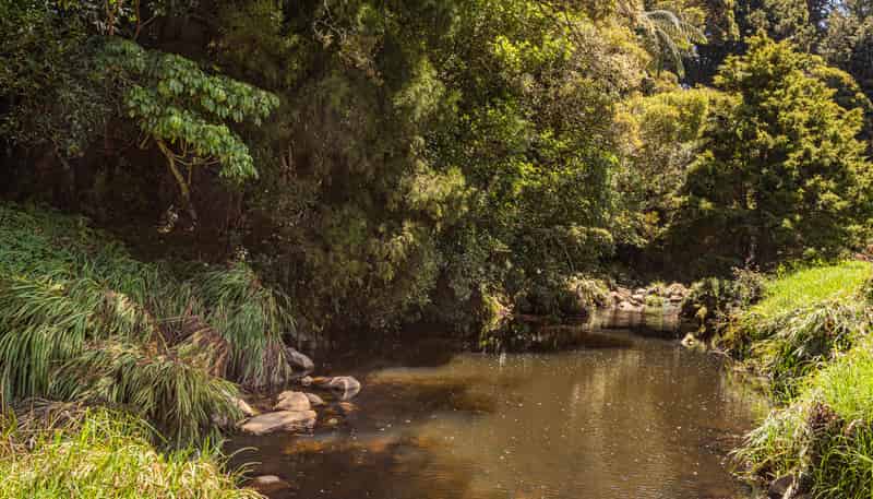 731 Puhipuhi Road, Whakapara