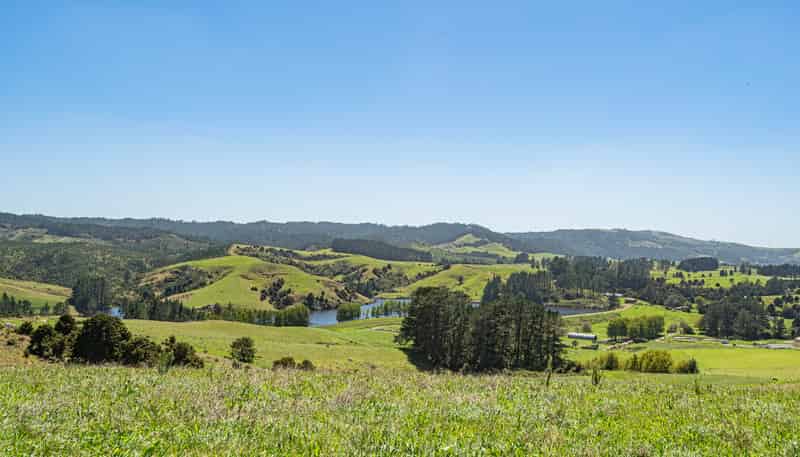 731 Puhipuhi Road, Whakapara