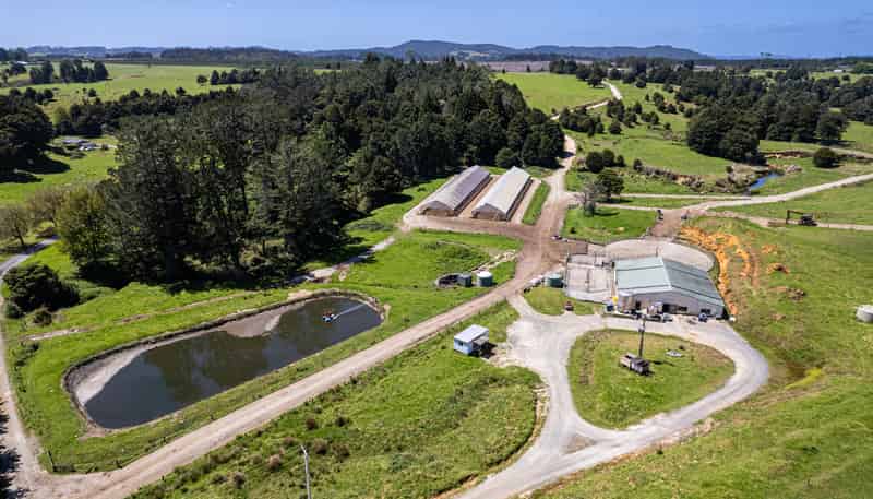 731 Puhipuhi Road, Whakapara