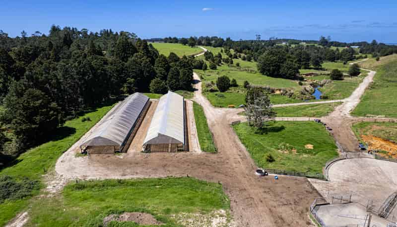 731 Puhipuhi Road, Whakapara