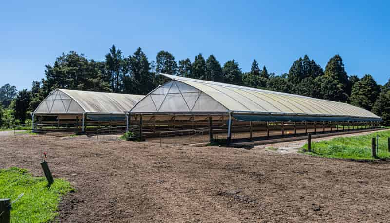 731 Puhipuhi Road, Whakapara