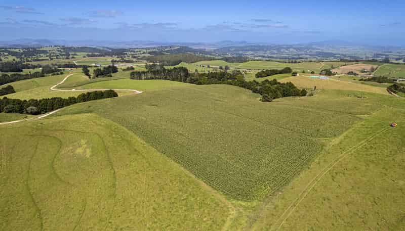731 Puhipuhi Road, Whakapara