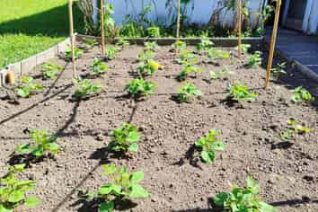 55 Williamson Avenue, Belmont