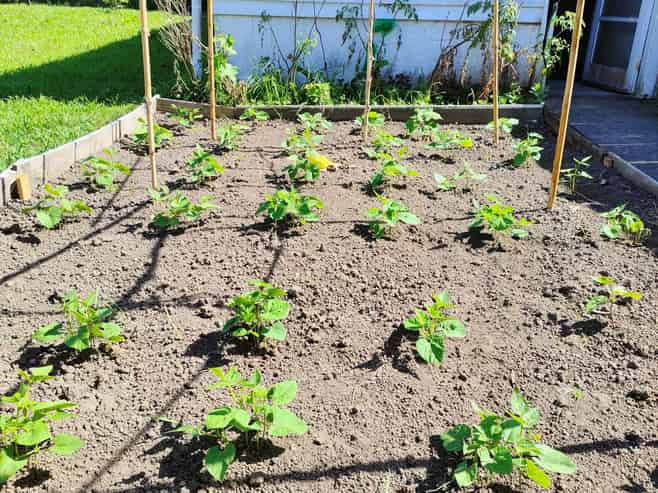 55 Williamson Avenue, Belmont