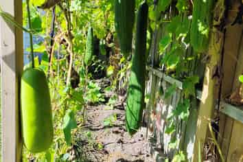 55 Williamson Avenue, Belmont