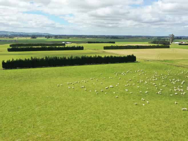 401 Spar Bush School Road, Spar Bush