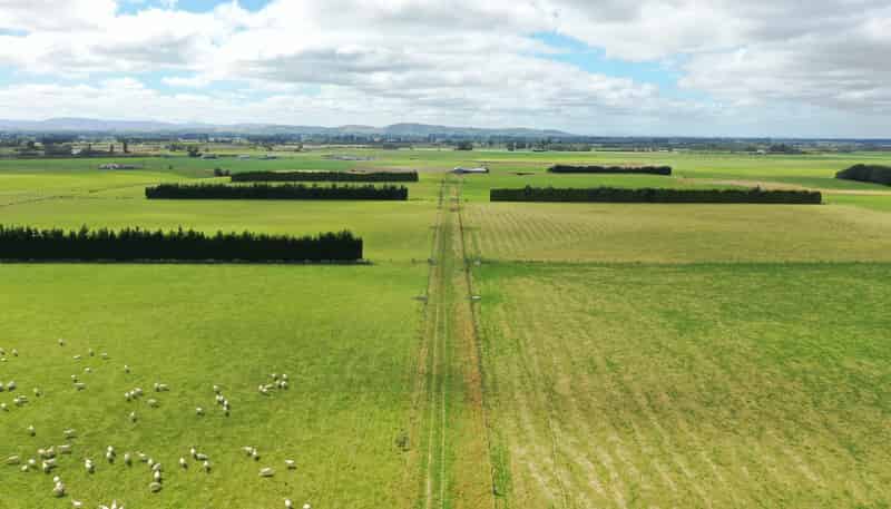 401 Spar Bush School Road, Spar Bush