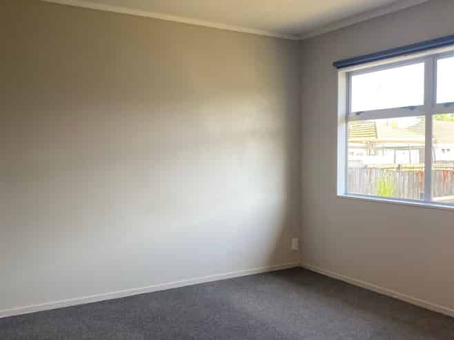 158a Nixon Street, Hamilton East