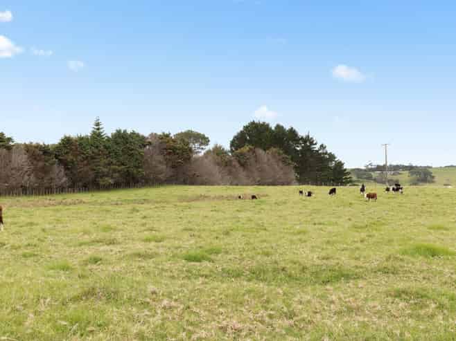 3031 Awhitu Road, Awhitu