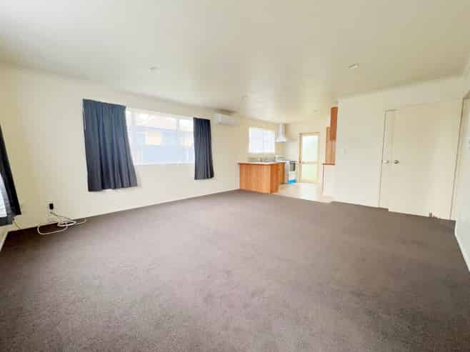 147A Nixon Street, Hamilton East