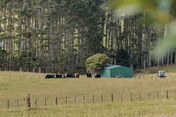 64 Haszard Road, Taupaki