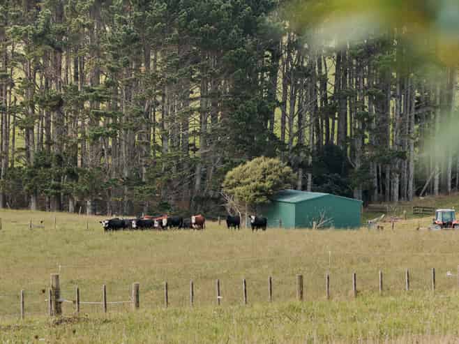 64 Haszard Road, Taupaki