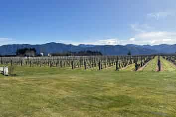 400 Old Renwick Road, Springlands