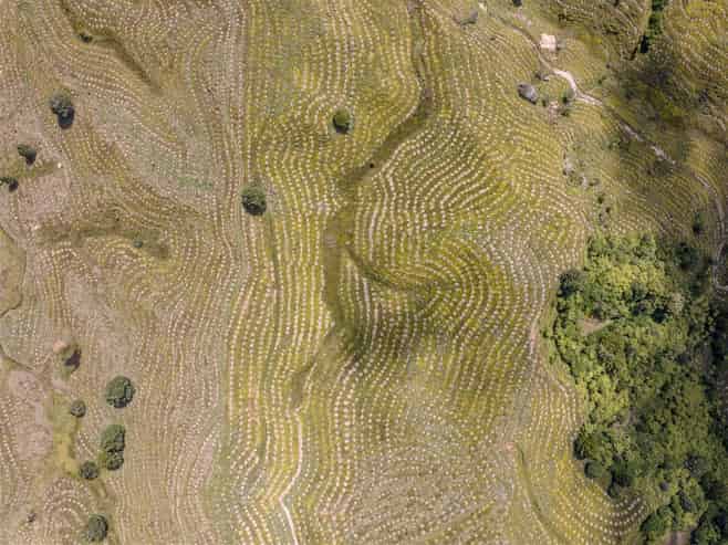  484 Mangapapa Road, Stratford