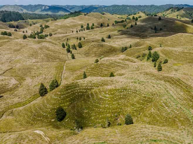  484 Mangapapa Road, Stratford