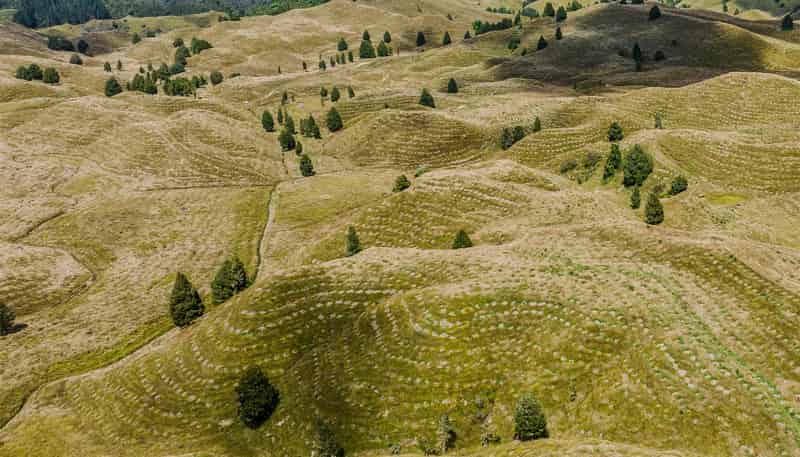  484 Mangapapa Road, Stratford