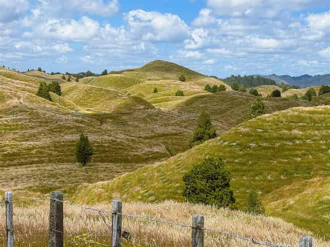  484 Mangapapa Road, Stratford