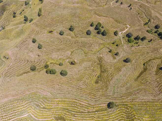  484 Mangapapa Road, Stratford