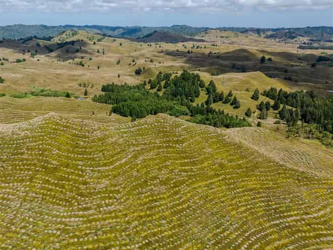  484 Mangapapa Road, Stratford