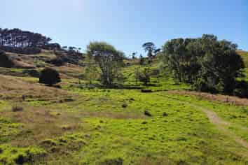 127 Ngapuke Road, Kaukapakapa