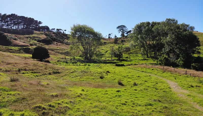 127 Ngapuke Road, Kaukapakapa