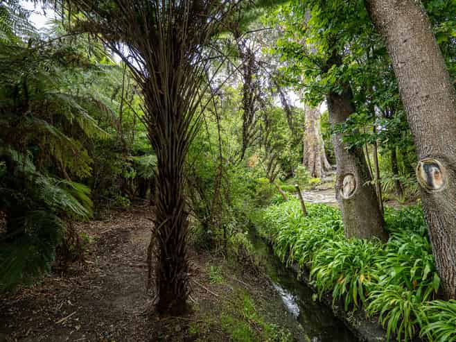 36 Hawford Road, Opawa