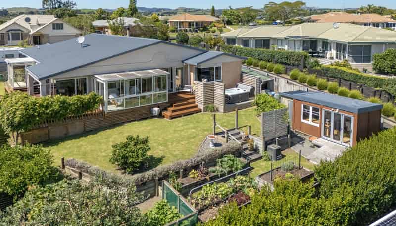 15 Diamond Head, Hairini