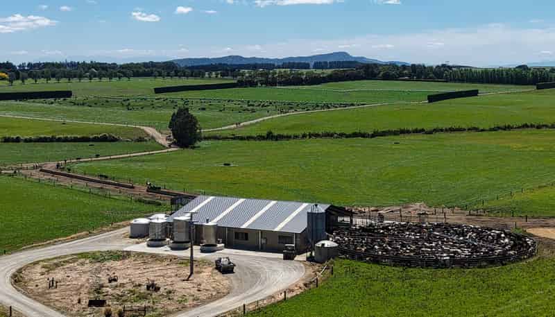 251 Rakahouka Hedgehope Road, Mabel Bush