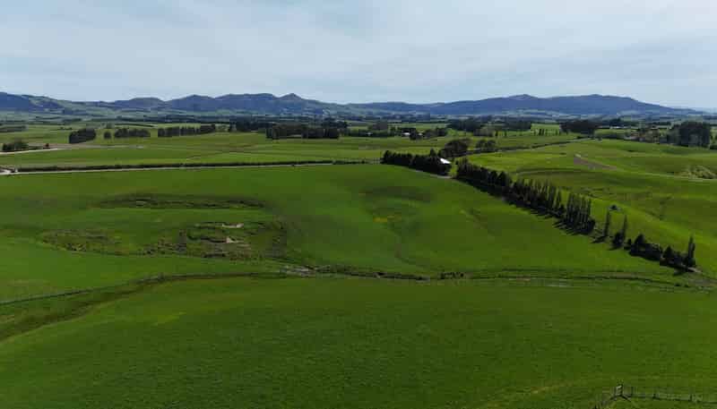  Glendhu Road, Mataura