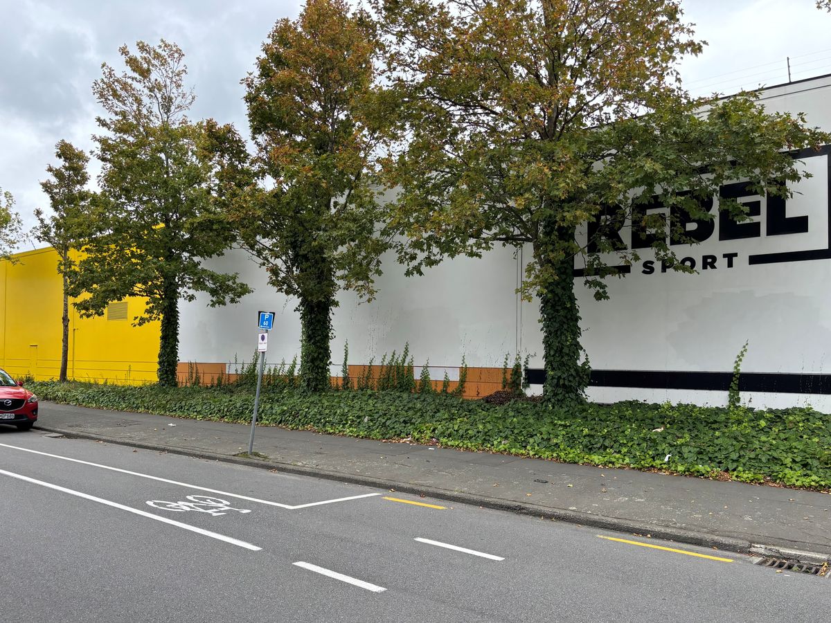 Retail Space between Rebel Sport & Golf Warehouse – pohled 4