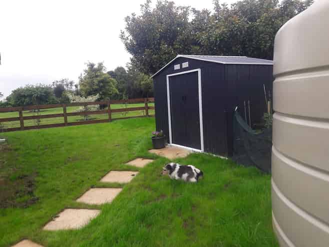 Auckland - Address withheld