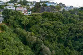 72 Farnham Street, Mornington