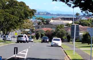 156 Levers Road, Matua