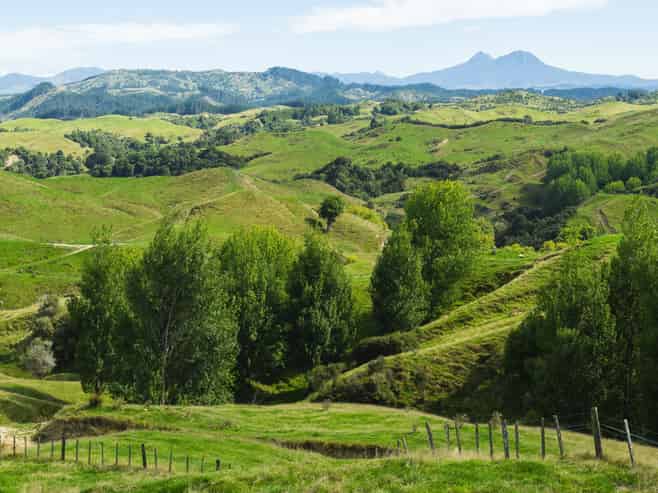  Fernside Station, 1555 Fernside Road, Tokomaru Bay