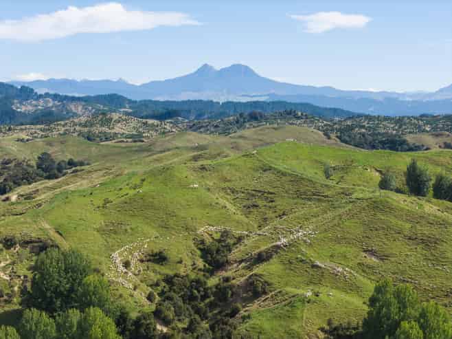 Fernside Station, 1555 Fernside Road, Tokomaru Bay