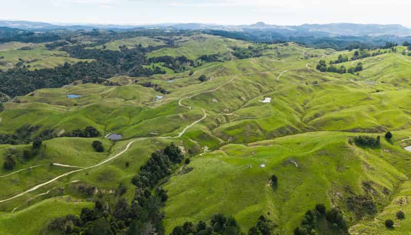  Fernside Station, 1555 Fernside Road, Tokomaru Bay
