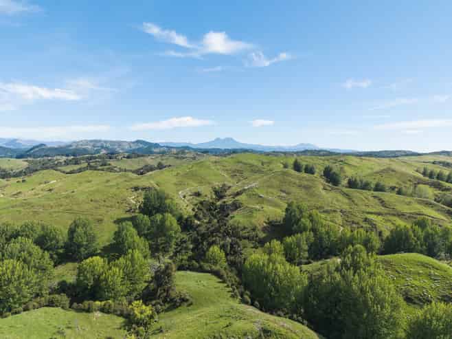  Fernside Station, 1555 Fernside Road, Tokomaru Bay