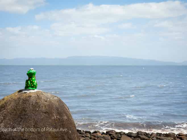 7 Patui Avenue, Thames
