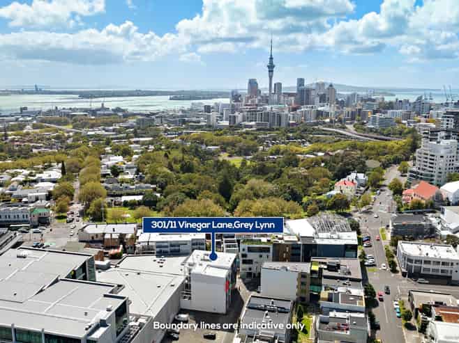 301/11 Vinegar Lane, Grey Lynn